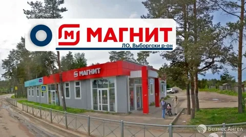 Продажа коммерческой недвижимости с арендаторами Магнит и Wildberries - Недвижимость в Рябово