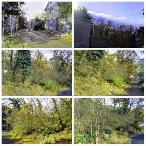 Участок 4,4 сотки в пгт. Массандра, Ялта - Аренда жилья в Ялта