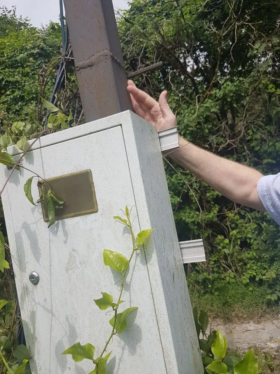 Продажа земельного участка в Дагомысе - Земельные участки (Недвижимость) в Дагомыс