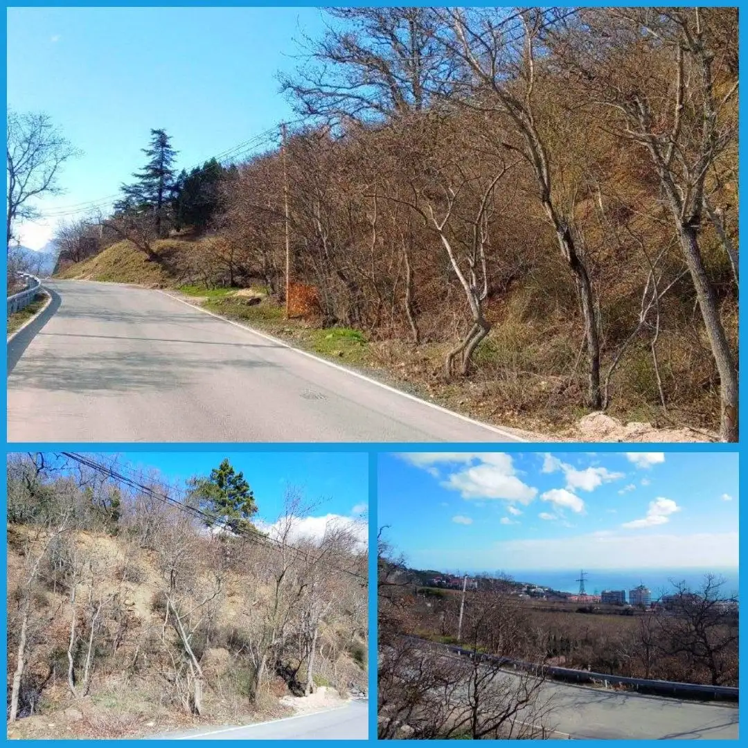 Участок 6 соток с видом на море в пгт. Восход, Ялта - Земельные участки (Недвижимость) в Ялта