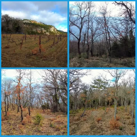 Участок 10 соток в пгт. Восход, Ялта, Крым - частное объявление в Ялта