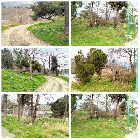 Продажа участка 7,2 сотки в Гурзуфе, Ялта - Земля в Гурзуф