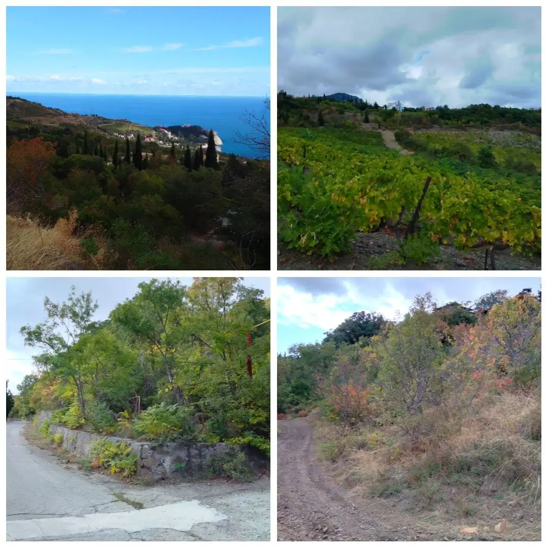 Участок 8,82 сотки в Кипарисном, Крым - Земля (Недвижимость) в Кипарисное