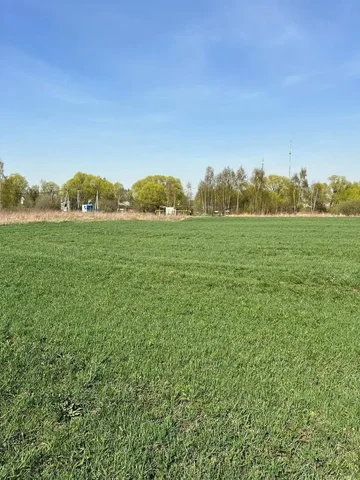 Земельный участок 81,5 га в Раменском районе - Земельные участки в Раменское