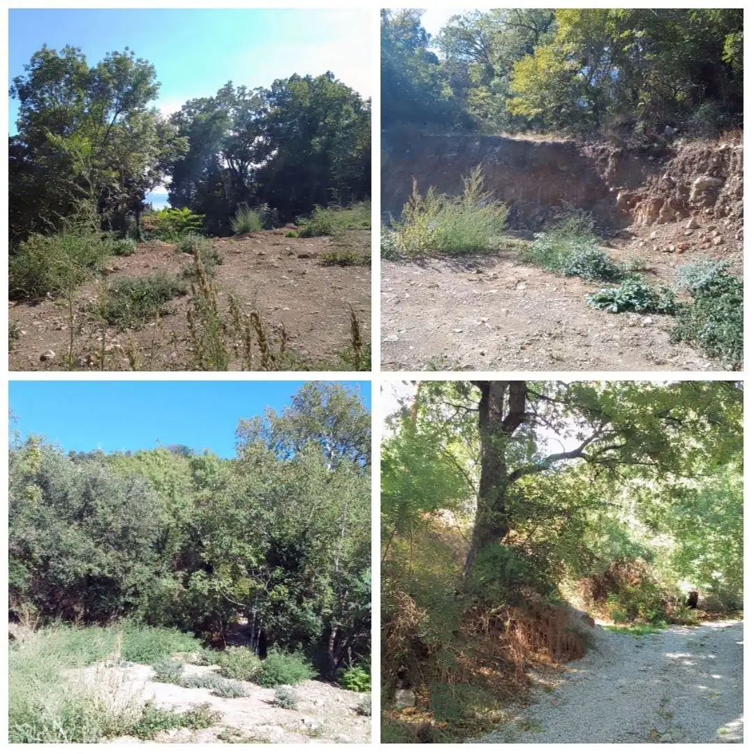 Участок 6 соток ИЖС с видом на море в Голубом заливе - Земельный участок (Недвижимость) в Ялта