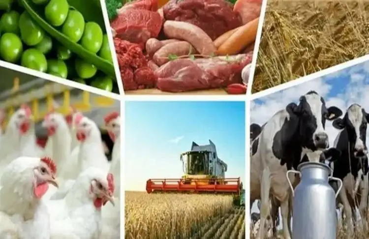 Продажа и инвестиции в земли сельхоз назначения, ИЖС и пром - Земельные участки (Недвижимость) в Москва