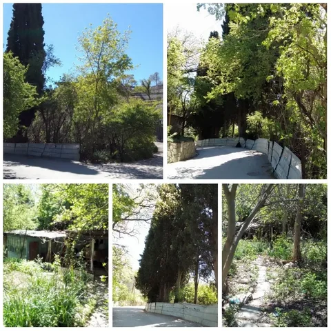 Продажа участка 11.6 соток в Даниловке, Ялта - Производственная недвижимость в Ялта