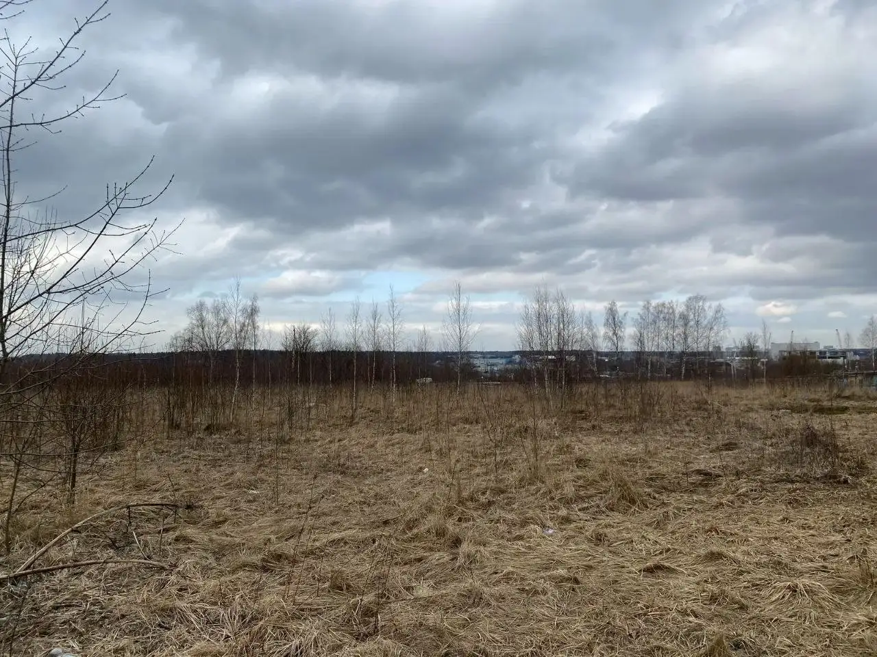 Земельный участок в Новой Москве, Красная Пахра - Земельные участки (Недвижимость) в Красная Пахра