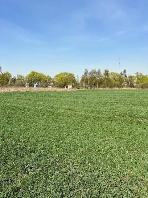 Земельный участок СХ-3 в Раменском районе - частное объявление в Раменское
