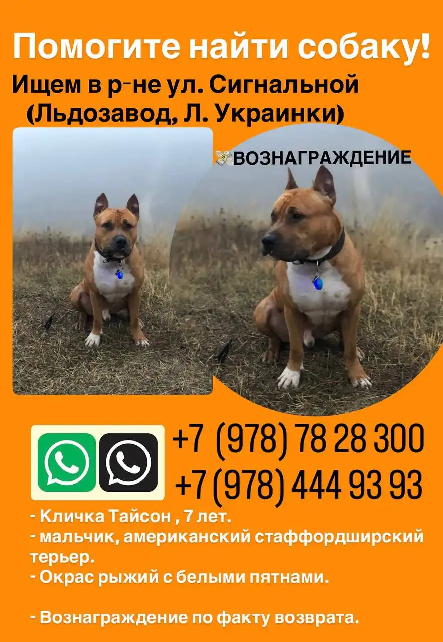 Распространение информации в Симферополь чате