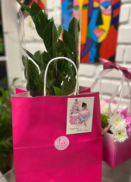 Консультации по уходу за растениями - Услуги в Симферополь