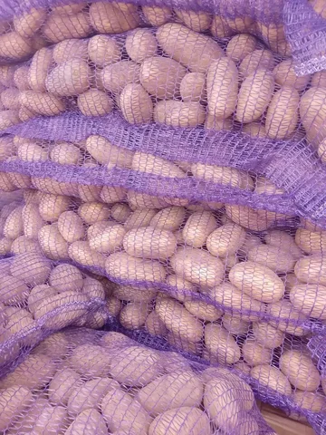 Продам картофель - Для дома и дачи в Симферополь