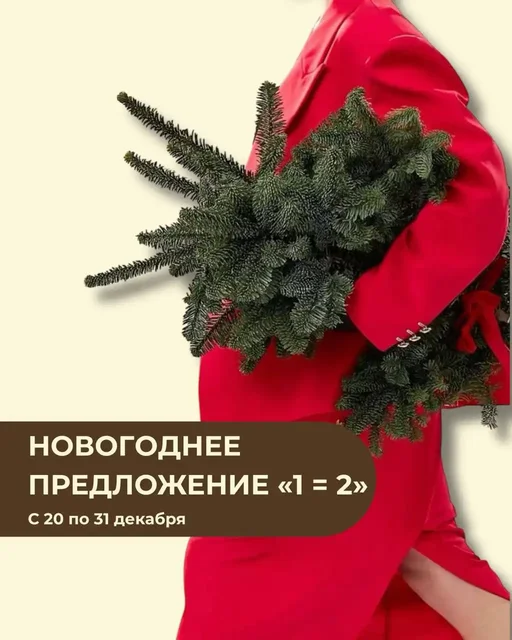 Новогоднее предложение в салоне красоты Медовая - Красота и здоровье в Симферополь