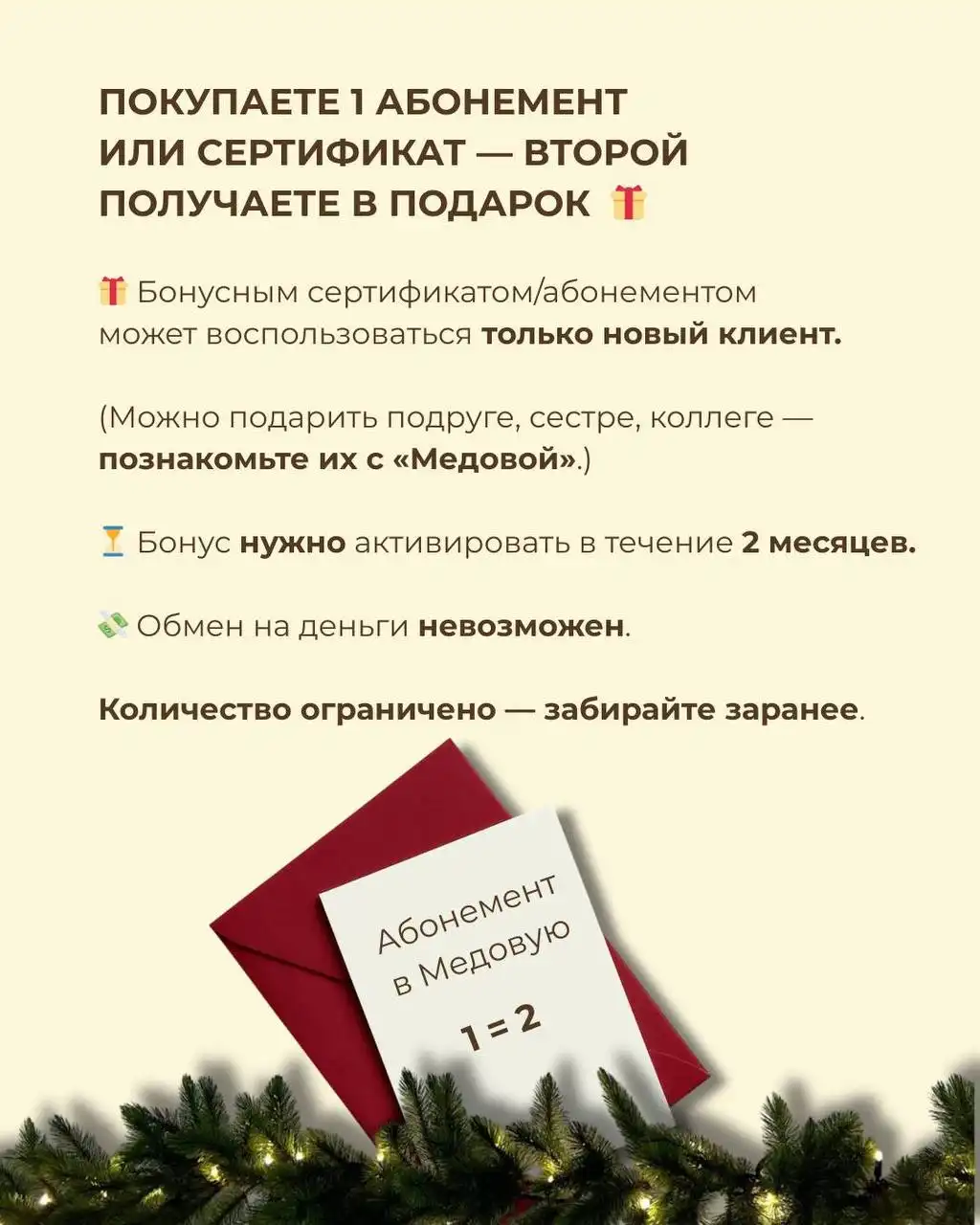 Новогоднее предложение в салоне красоты Медовая