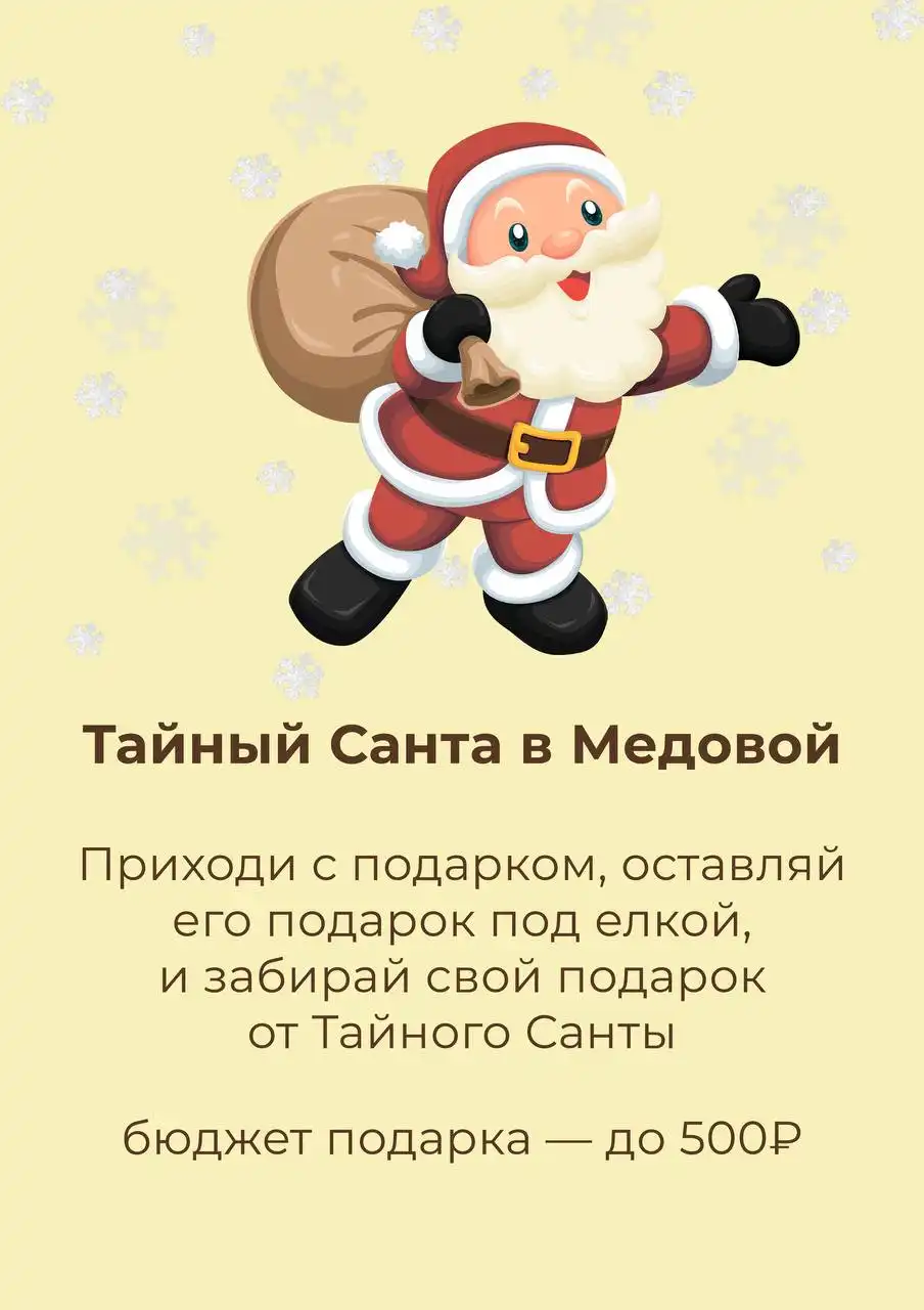 Новогоднее предложение в салоне красоты Медовая