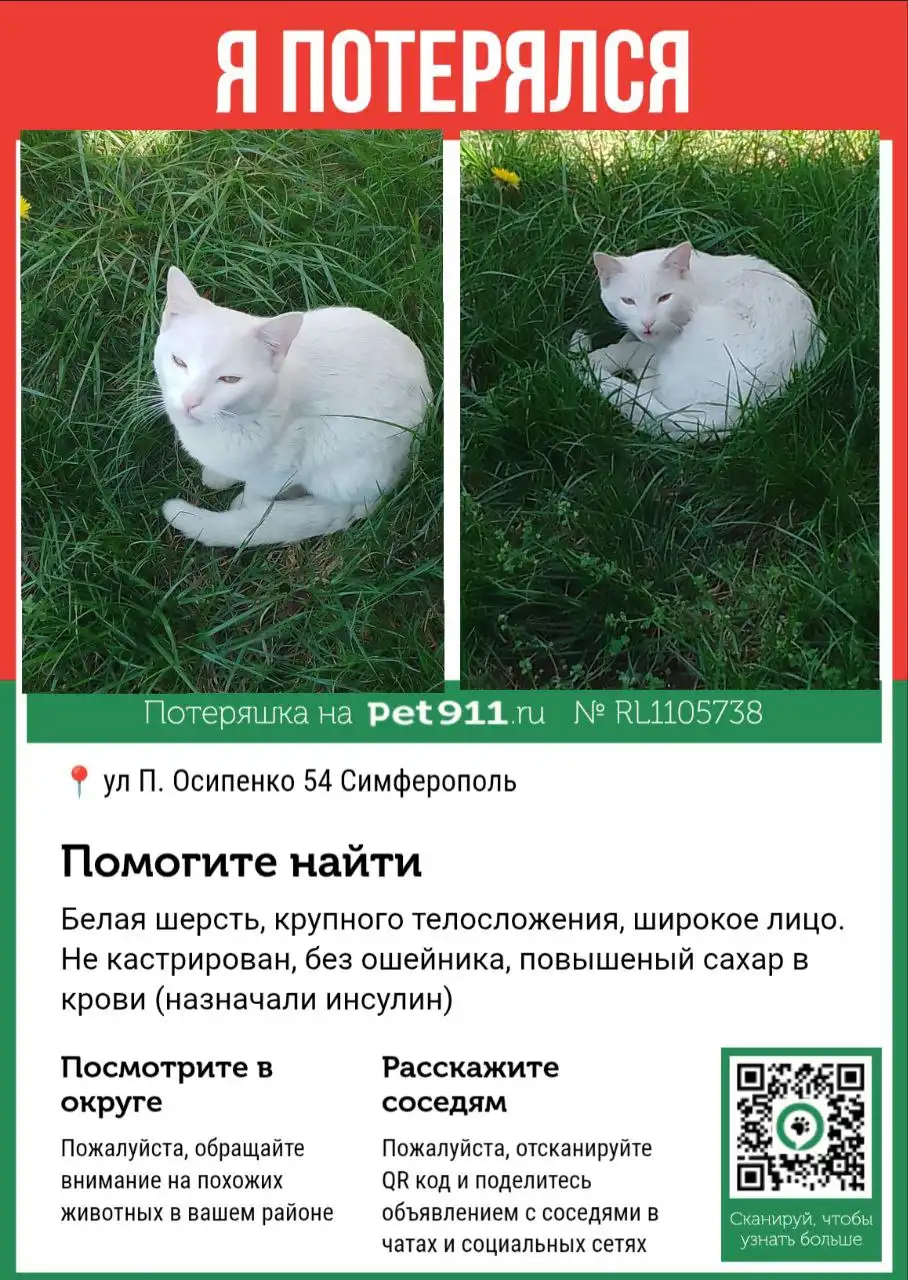 Продажа автомобиля Nissan Qashqai в Симферополе