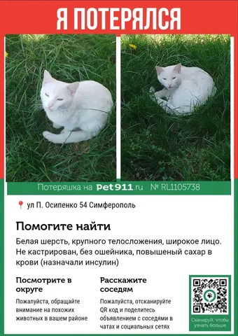 Продажа автомобиля Nissan Qashqai в Симферополе - Авто в Симферополь