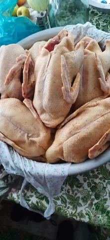 Тушки индоуток к Новому году и Рождеству - Животные в Симферополь