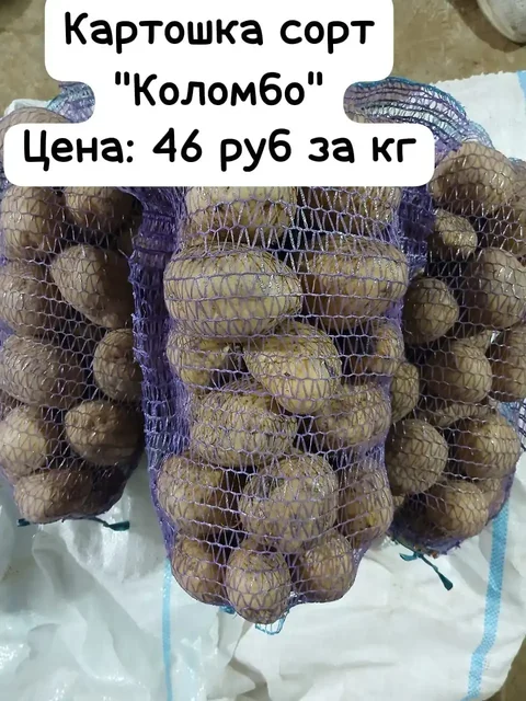 Оптовая закупка продуктов в Симферополе с доставкой - частное объявление в Симферополь