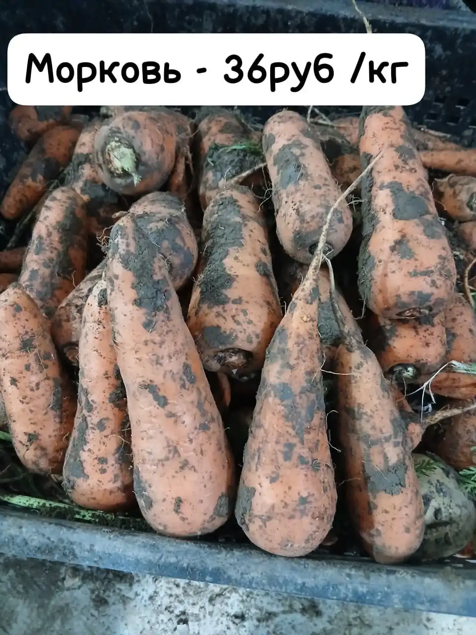 Оптовая закупка продуктов в Симферополе с доставкой