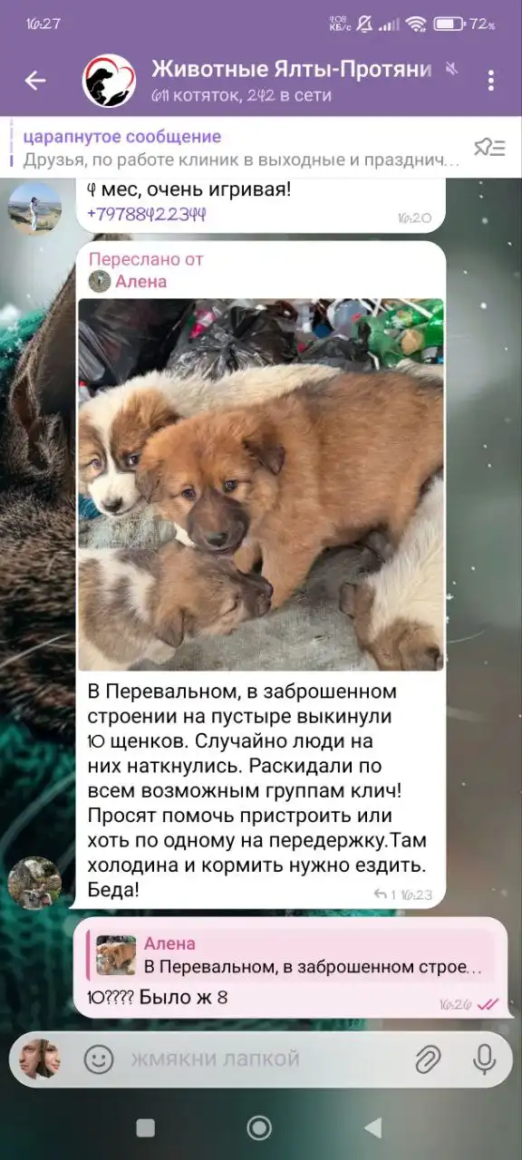 Предложение помощи в Перевальном, Симферополь - Услуги в Симферополь