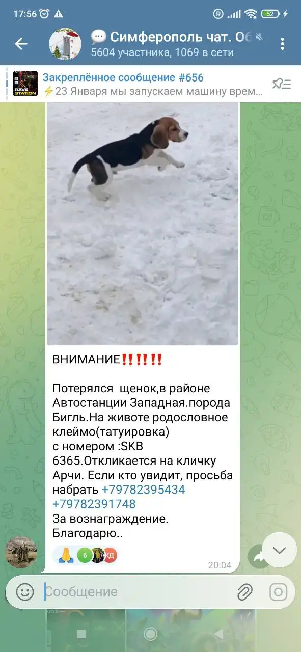 Поиск владельца найденного предмета - Барахолка в Симферополь