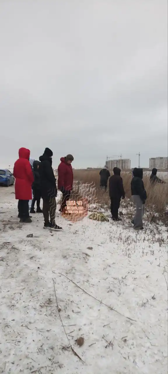 Спасение лебедей в заледенелом озере - Спасение животных (Животные) в Симферополь