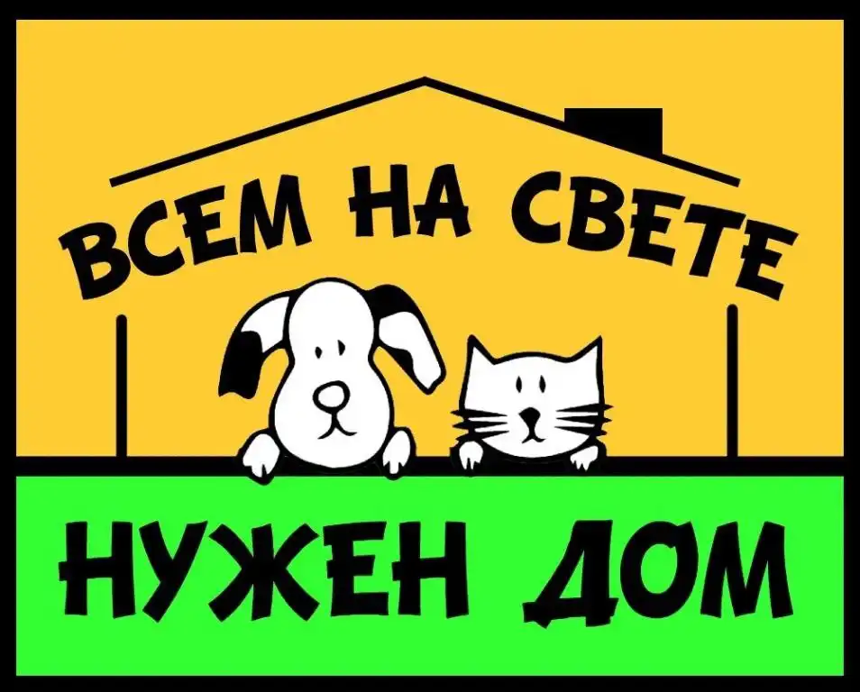 Срочно нужен дом для бездомных щенков - Собаки (Животные) в Симферополь