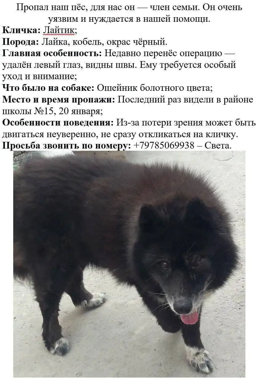 Пропал человек в районе 7 гор - Барахолка в Симферополь