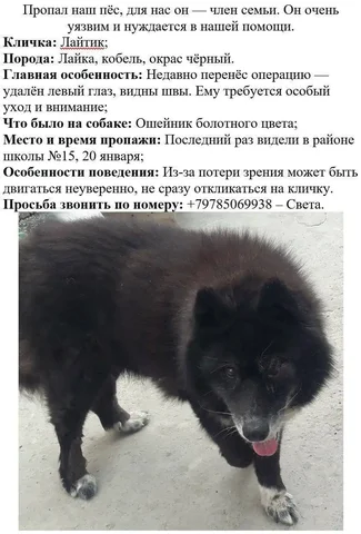 Пропал человек в районе 7 гор - Барахолка в Симферополь