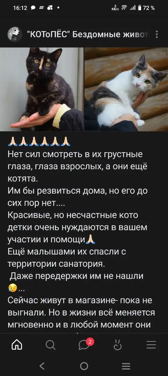 Продажа iPhone 13 Pro Max 512 ГБ в Евпатории - Смартфоны (Электроника) в Евпатория