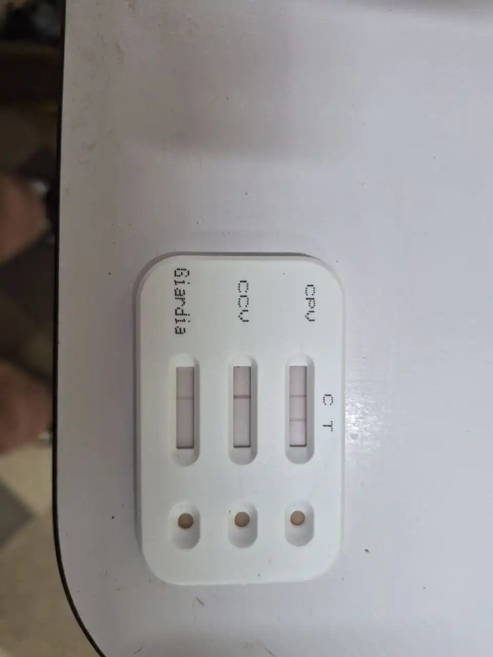 Срочно нужна помощь щенку лайки с парвовирусным энтеритом - Собаки (Животные) в Симферополь