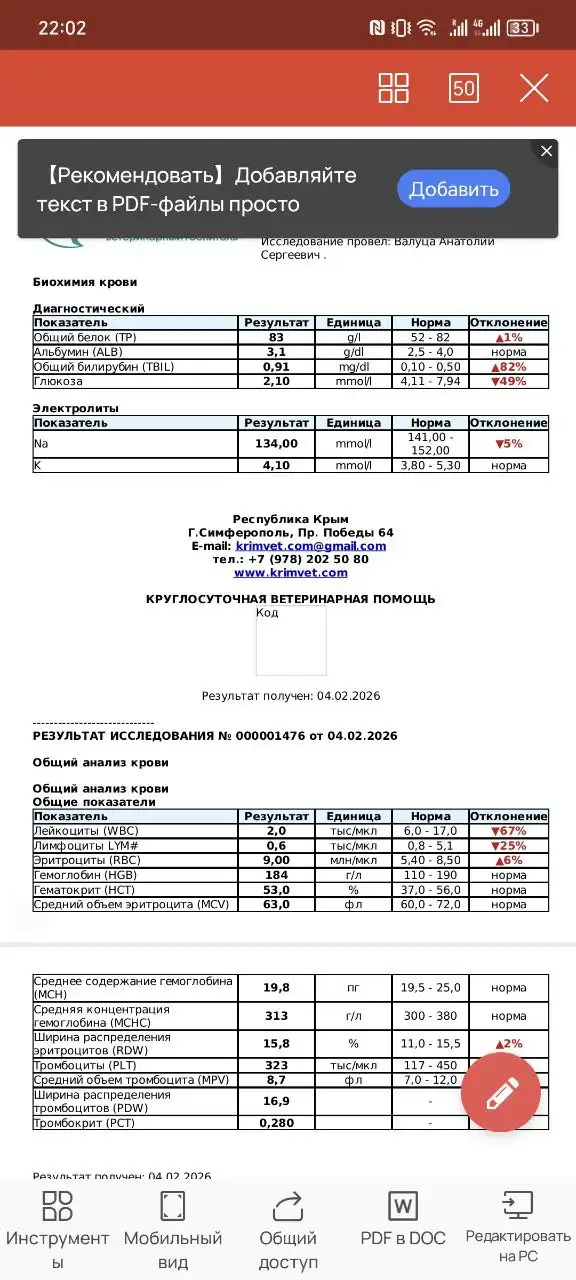 Срочно нужна помощь щенку лайки с парвовирусным энтеритом - Собаки (Животные) в Симферополь