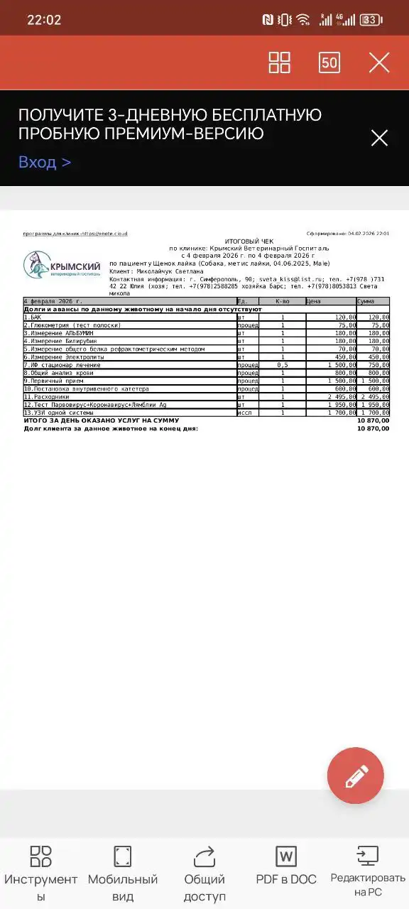 Срочно нужна помощь щенку лайки с парвовирусным энтеритом - Собаки (Животные) в Симферополь