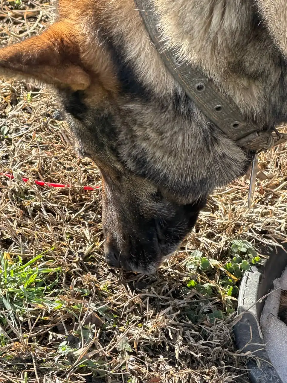 Объявление в Симферополе - Барахолка в Симферополь