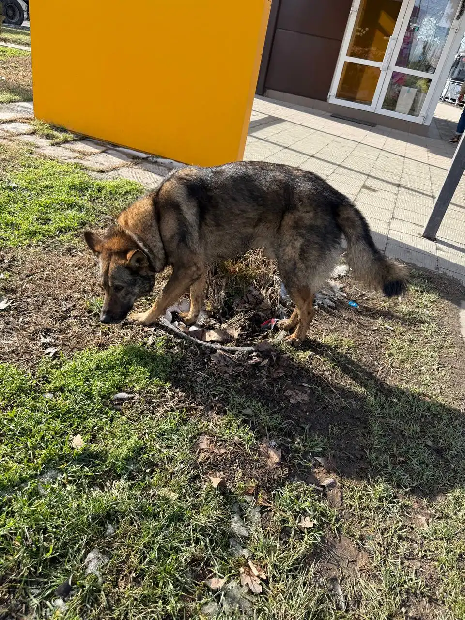 Объявление в Симферополе - Барахолка в Симферополь