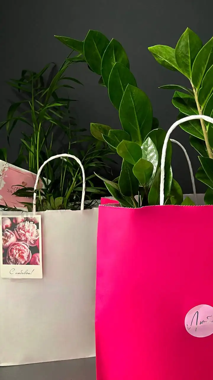 Консультации по уходу за растениями от Елены - Консультации по растениям (Услуги) в Симферополь