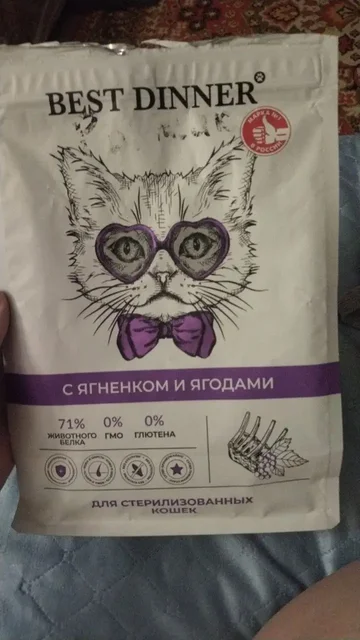 Помощь бездомному коту Рыжулику на лечение и содержание - Животные в Симферополь