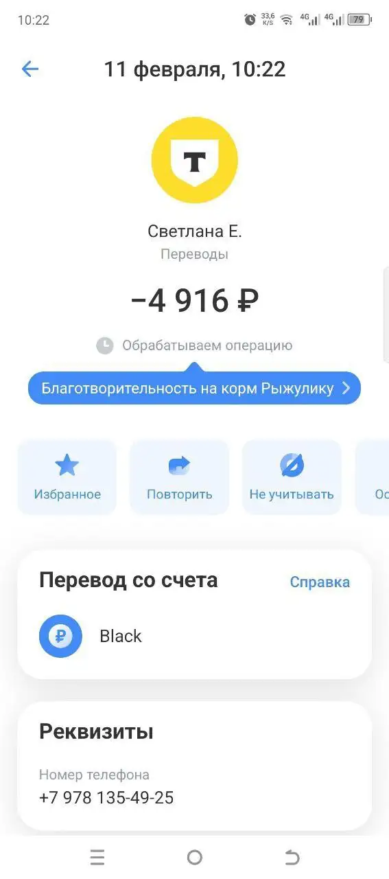Помощь бездомному коту Рыжулику на лечение и содержание - Животные в Симферополь