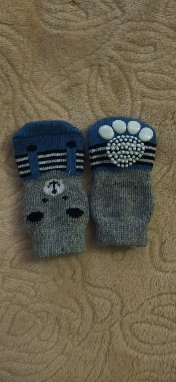 Помощь бездомному коту Рыжулику на лечение и содержание - Животные в Симферополь