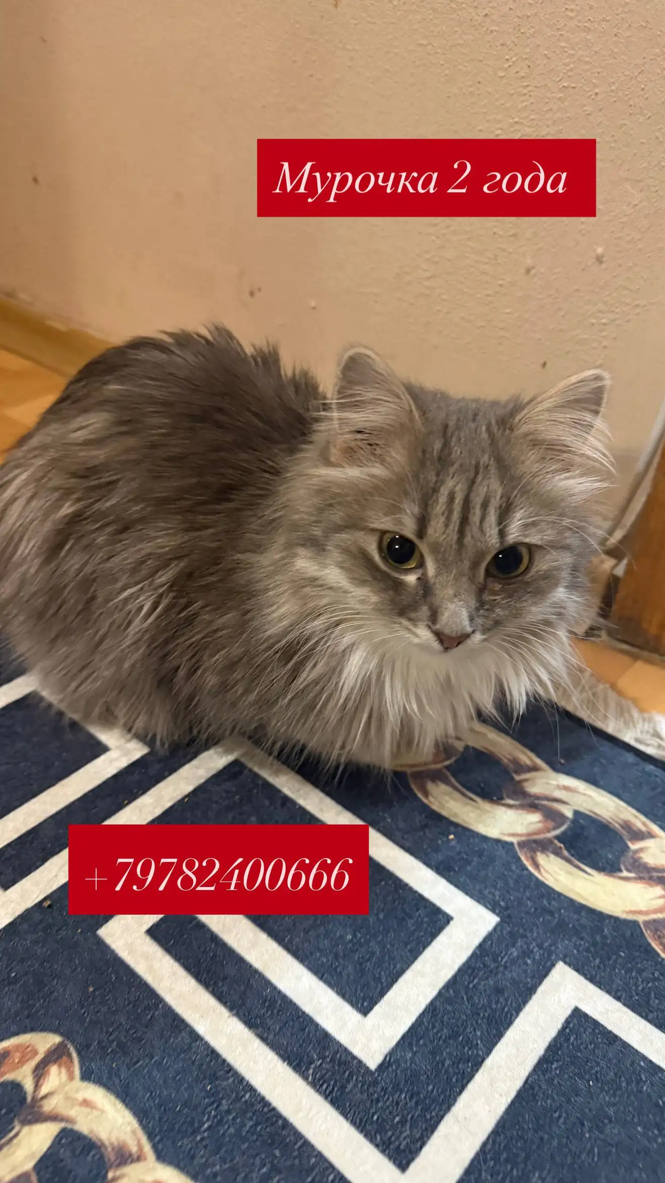 Поиск дома в Симферополе - Недвижимость в Симферополь