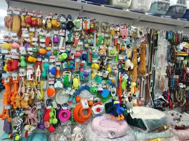 Помощь бездомным животным в Симферополе - Животные в Симферополь