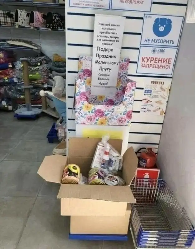 Помощь бездомным животным в Симферополе - Животные в Симферополь