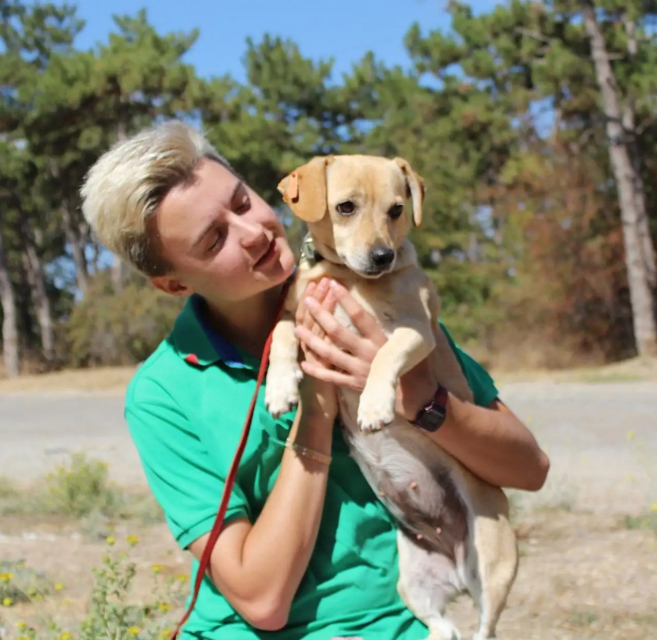 Спасение собаки Зиночки из отлова в Симферополе - Собаки (Животные) в Симферополь