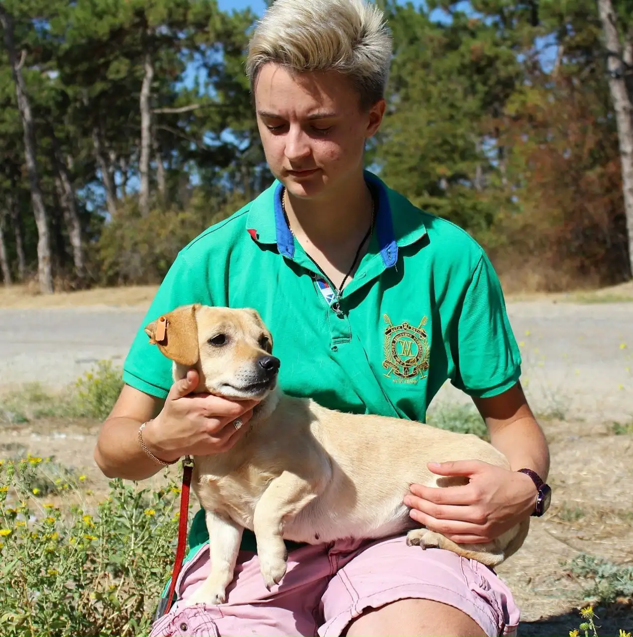Спасение собаки Зиночки из отлова в Симферополе - Собаки (Животные) в Симферополь