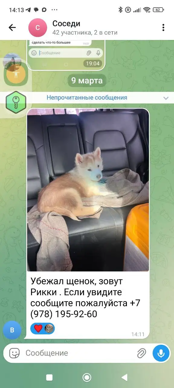 Пропал щенок в районе Студгородка Симферополя - Животные в Симферополь