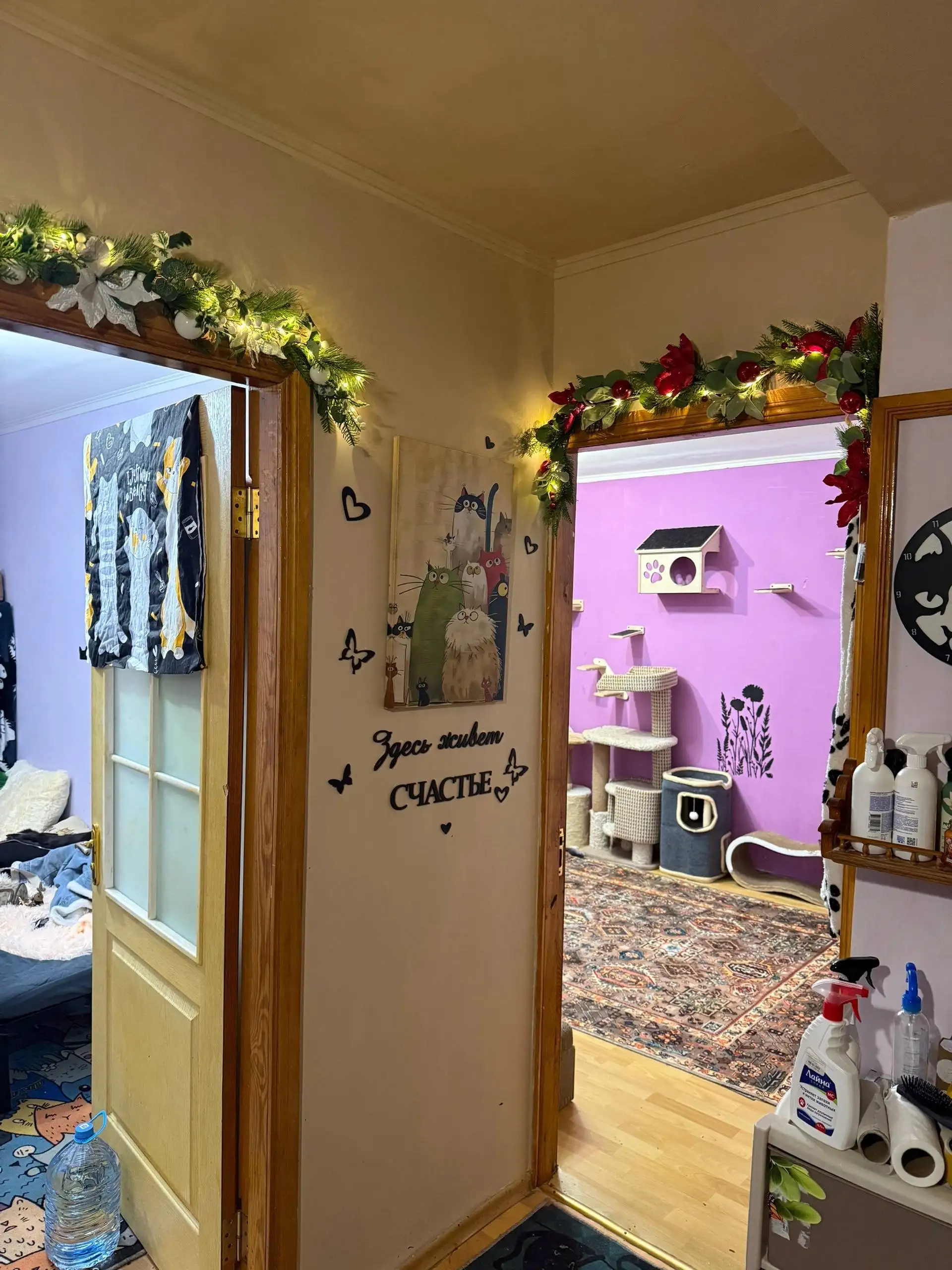 Срочно сниму дом/дачу/квартиру для передержки котиков - Передержка животных (Услуги) в Симферополь