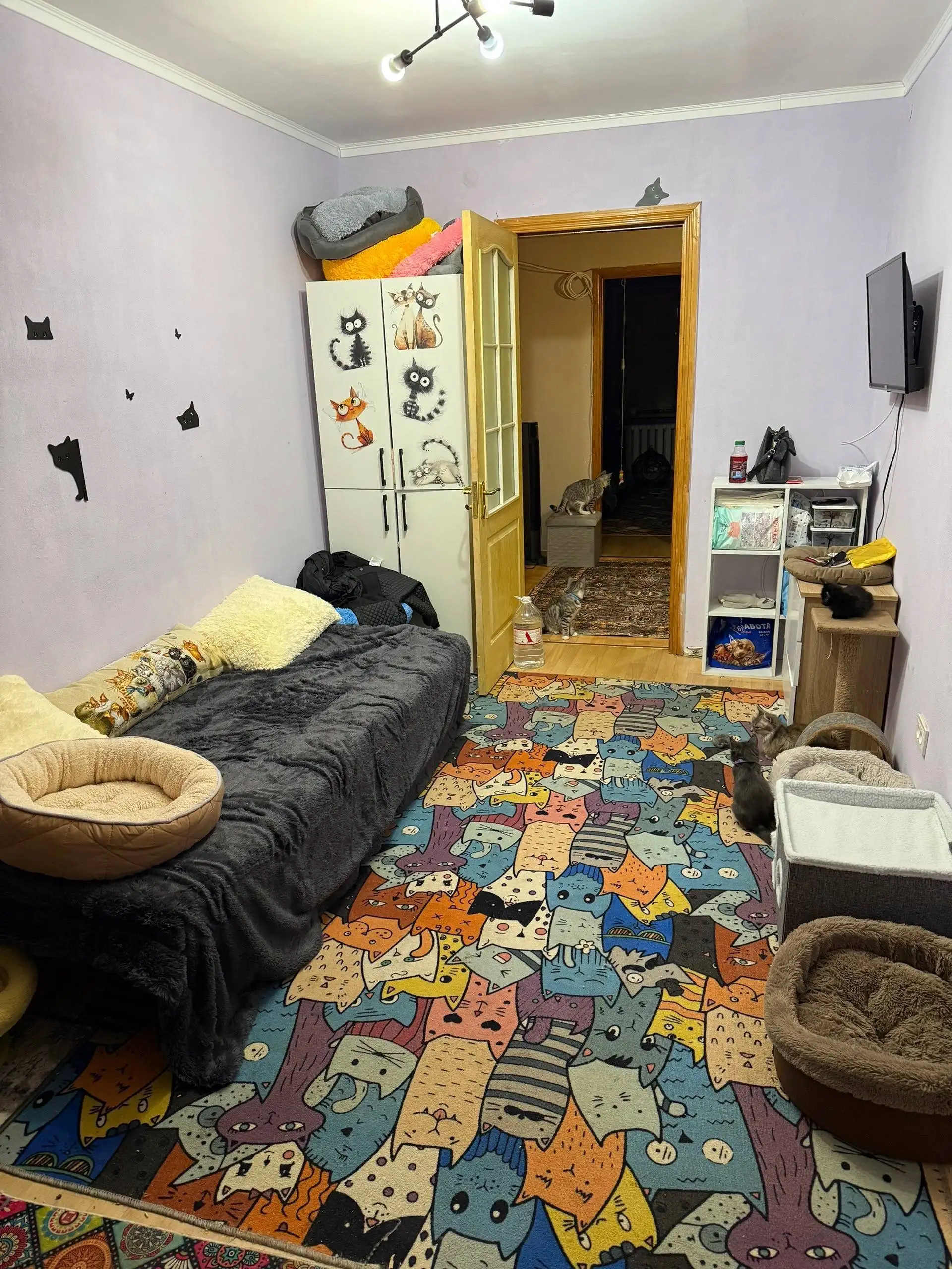 Срочно сниму дом/дачу/квартиру для передержки котиков - Передержка животных (Услуги) в Симферополь