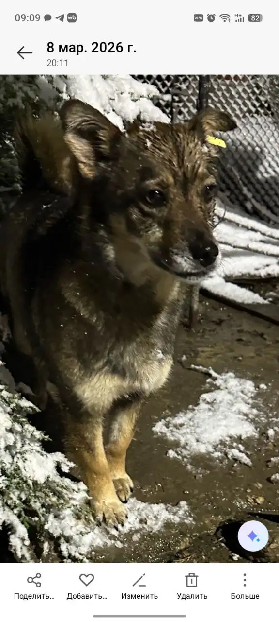 Потеряна маленькая девочка с жёлтой биркой в Симферополе - Поиск (Барахолка) в Симферополь