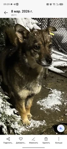 Потеряна маленькая девочка с жёлтой биркой в Симферополе - частное объявление в Симферополь